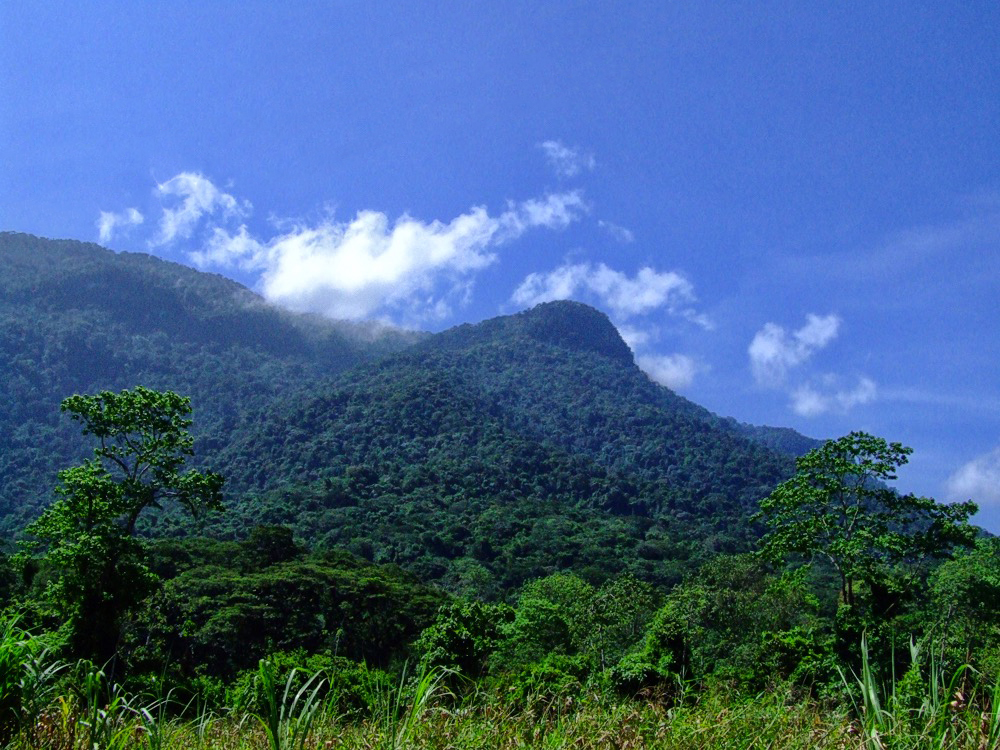 montana sorte yacuy venezuela