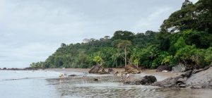 playas en el pacífico colombiano