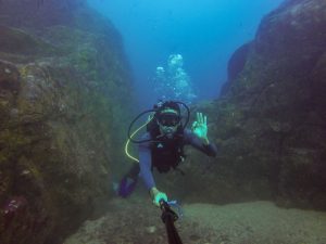 Isla Gorgona: qué hacer y cómo llegar a este destino eco-turístico