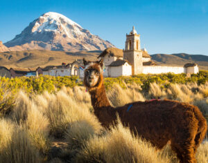 sitios turísticos de Bolivia: parque nacional sajama