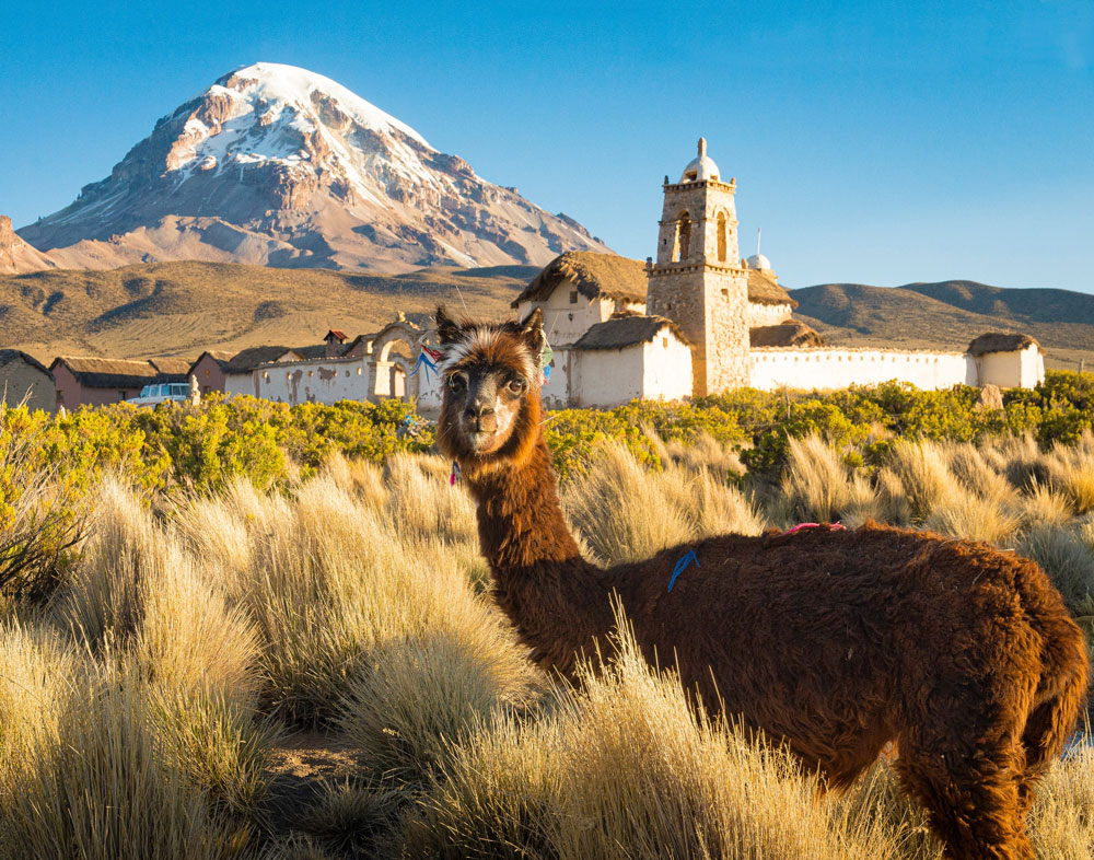 sitios turísticos de Bolivia: parque nacional sajama