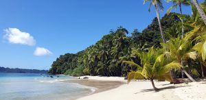 playa con palmeras, Parque Nacional Coiba, Isla Coiba, Panamá