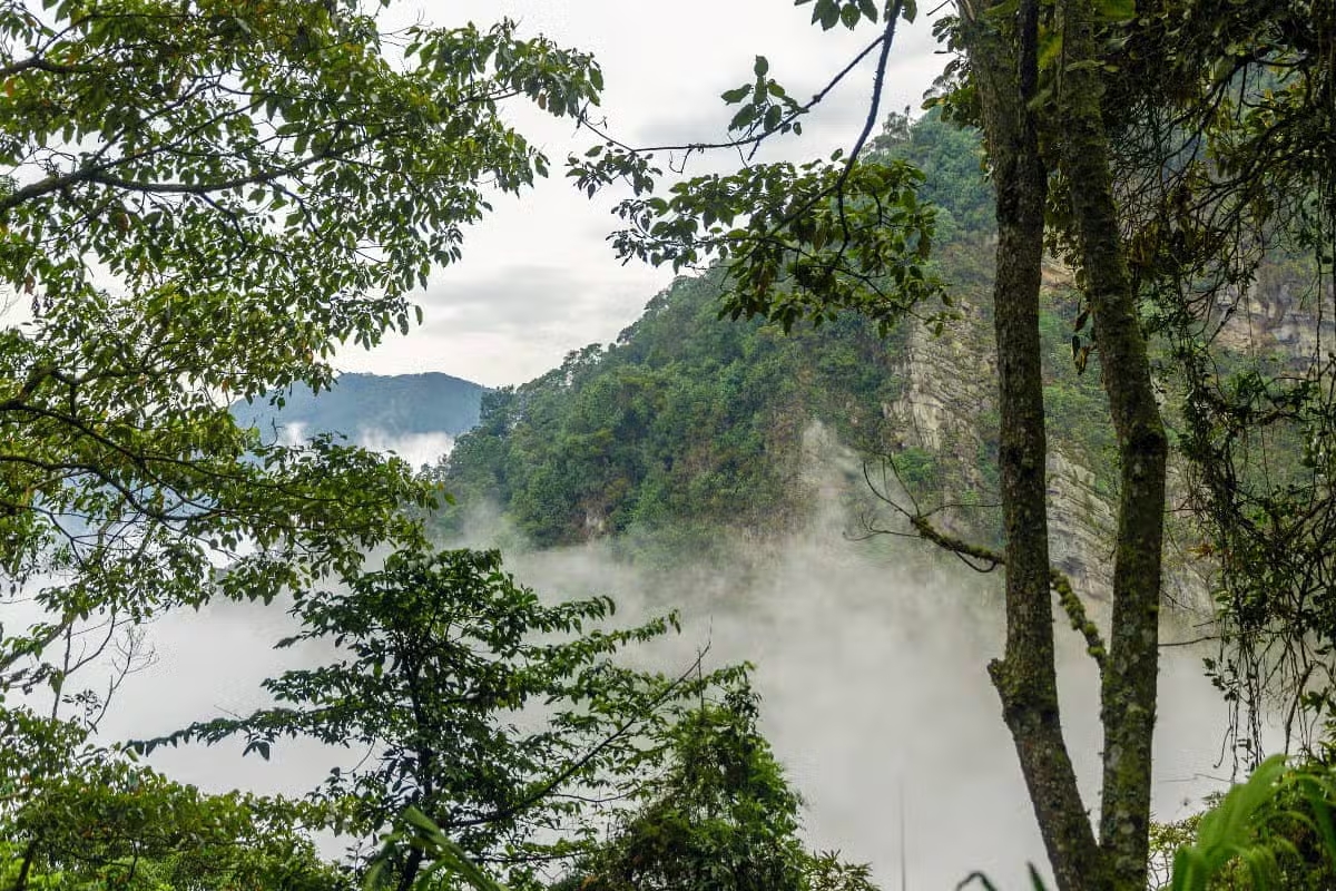 ¡Escápate ya! Los 6 mejores Planes cerca a Bogotá para un fin de semana épico 3 parque nacional chicaque