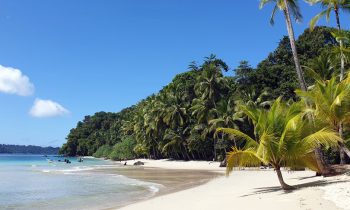 playa con palmeras, Parque Nacional Coiba, Isla Coiba, Panamá