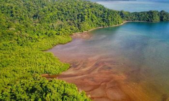 playa del Parque Nacional Corcovado