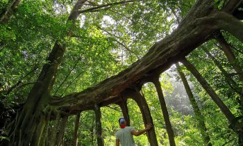 Monteverde, Costa Rica